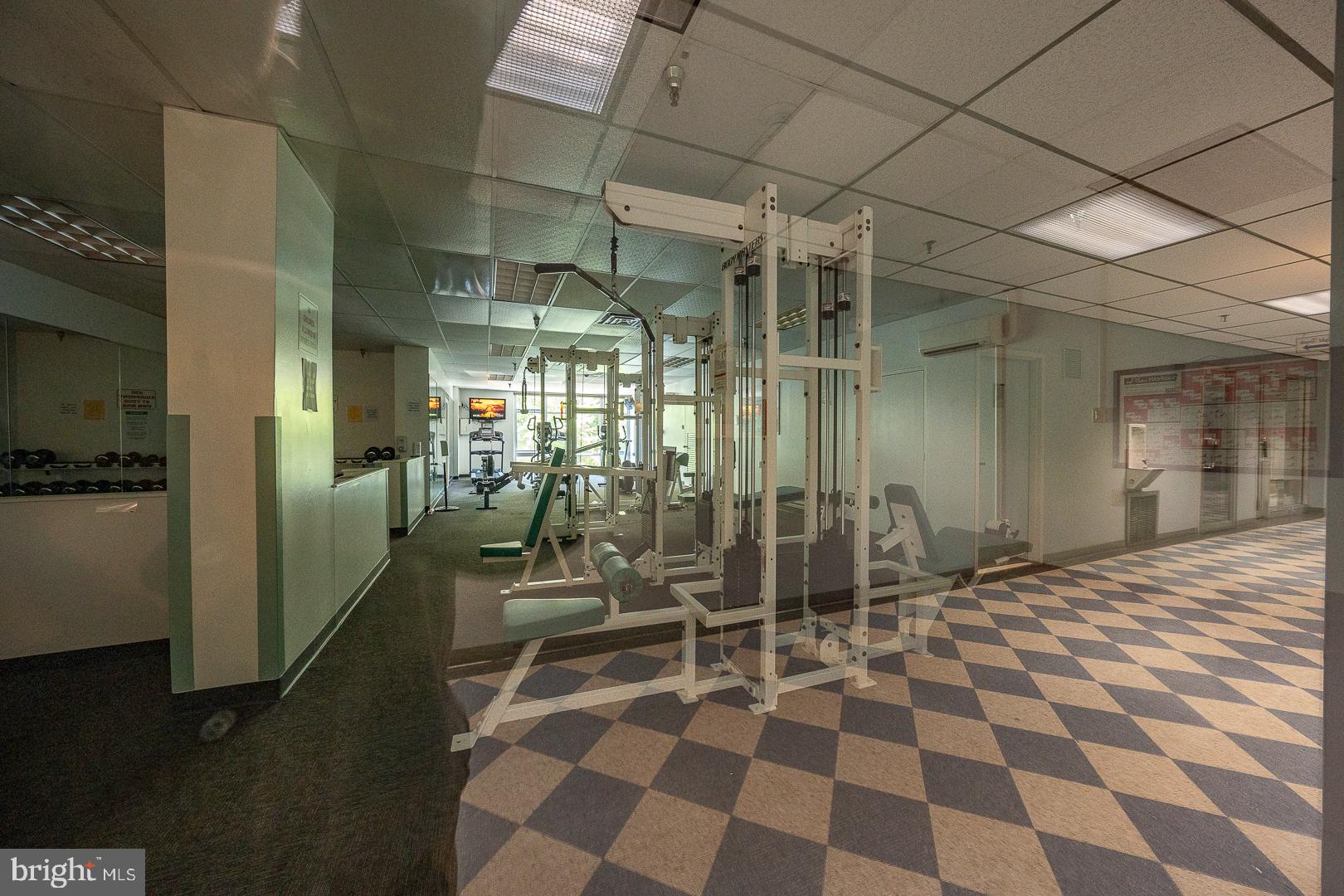 3600 CONSHOHOCKEN AVENUE 506