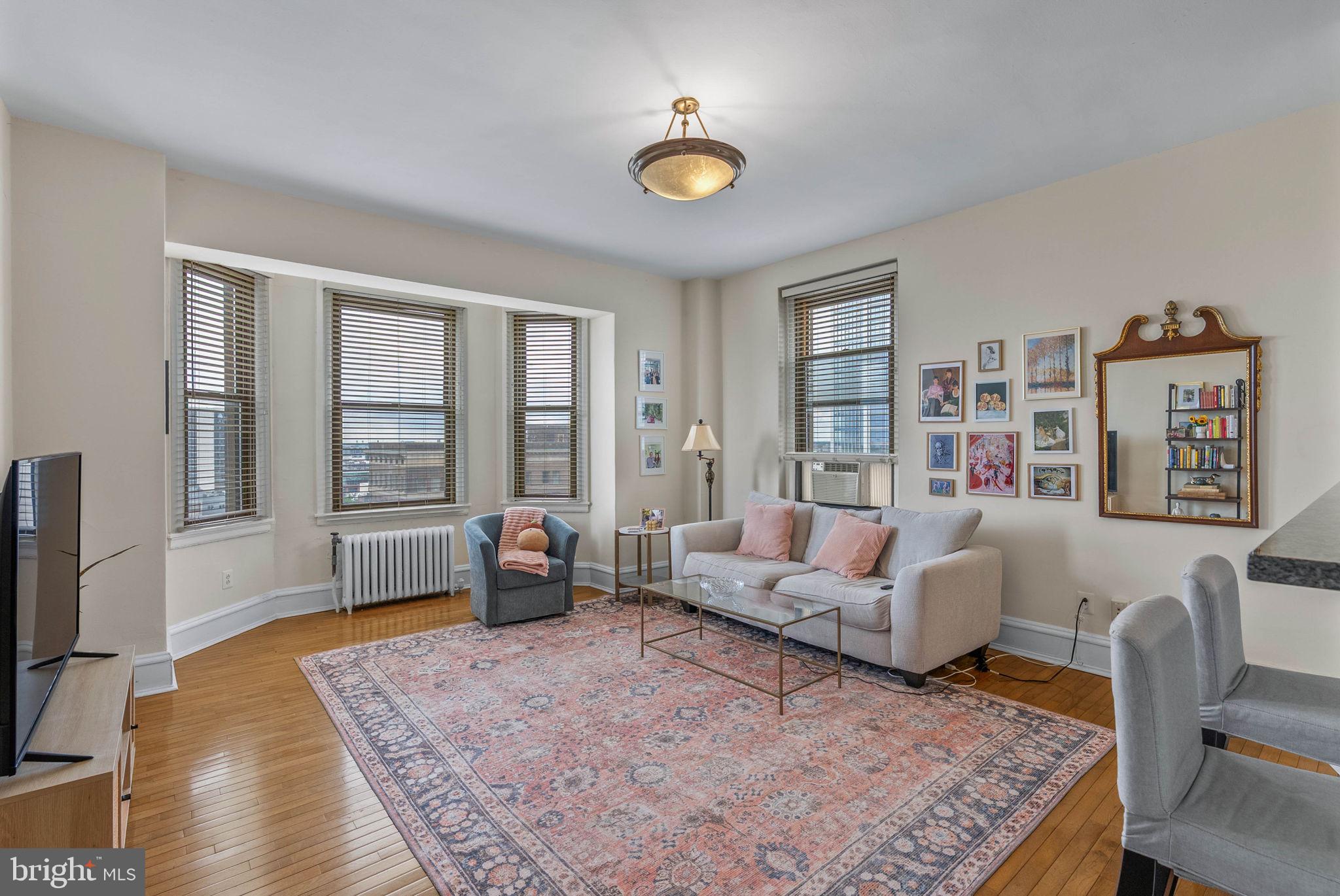 250 S 13TH STREET 11E