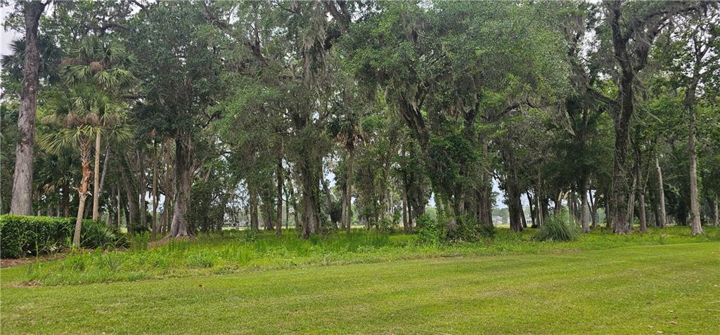 Lot 12 Preserve Trail