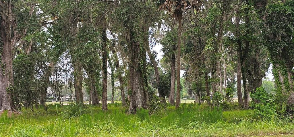 Lot 12 Preserve Trail