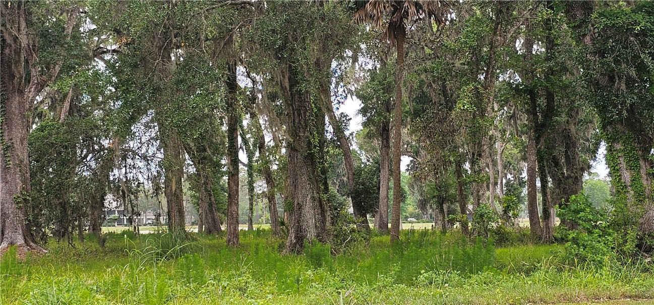 Lot 12 Preserve Trail