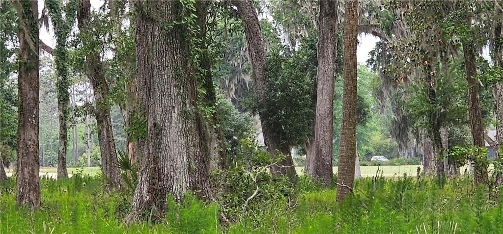 Lot 12 Preserve Trail
