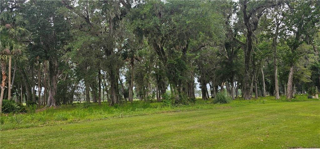 Lot 12 Preserve Trail