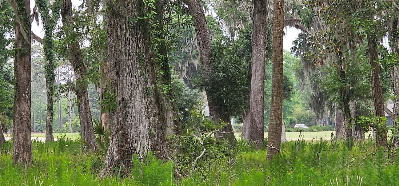 Lot 12 Preserve Trail