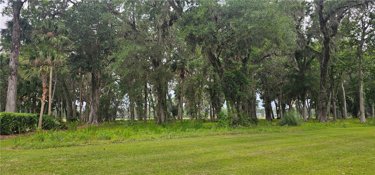 Lot 12 Preserve Trail
