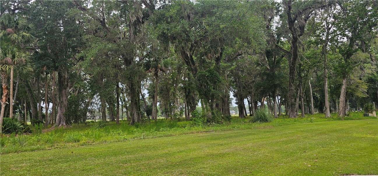 Lot 12 Preserve Trail