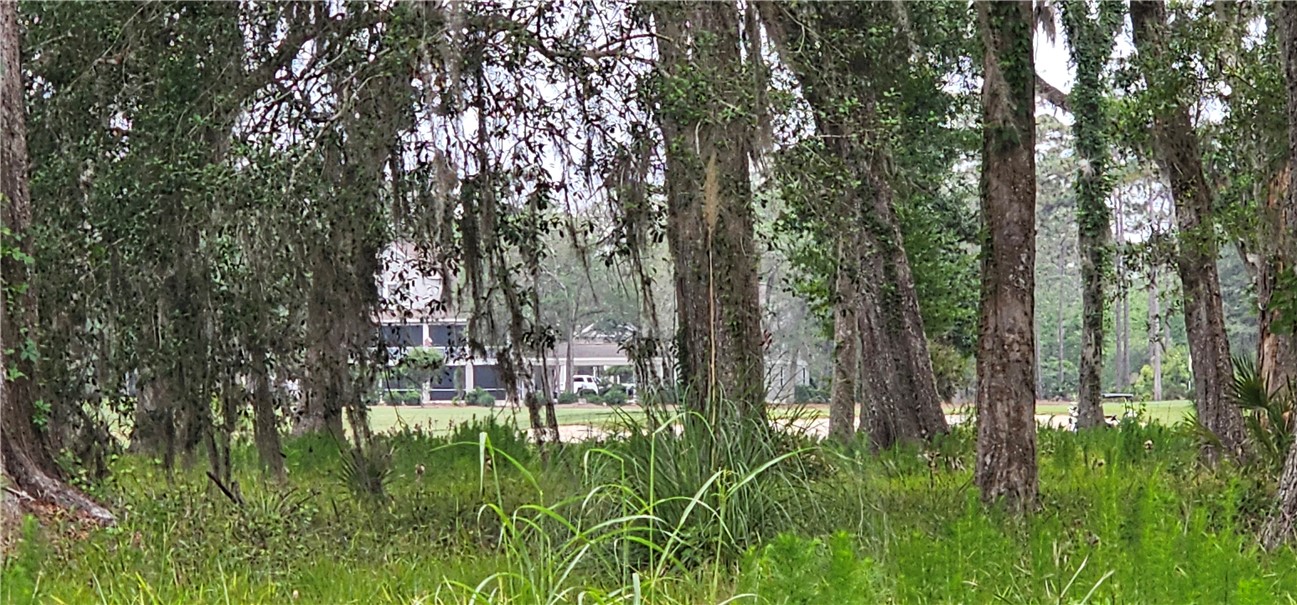 Lot 12 Preserve Trail