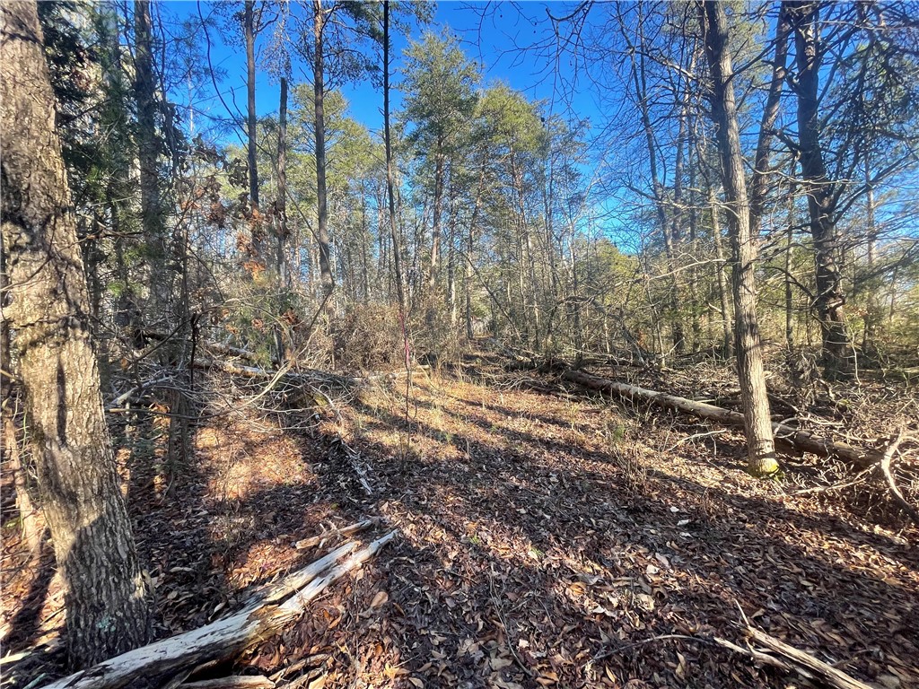 00 Hickory Nut Drive