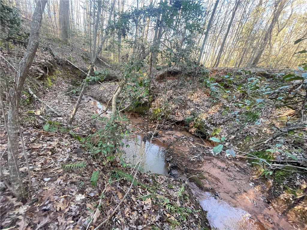 00 Hickory Nut Drive