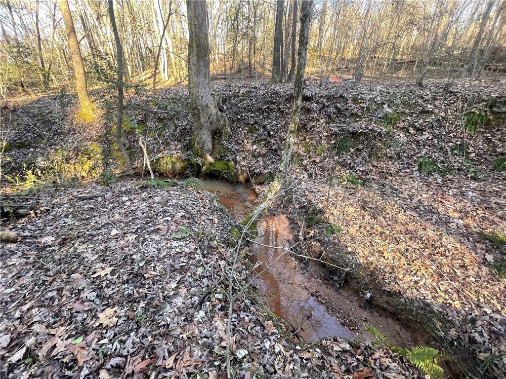 00 Hickory Nut Drive