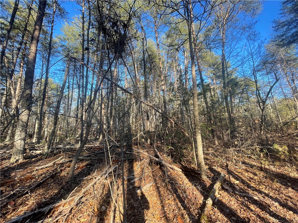 00 Hickory Nut Drive