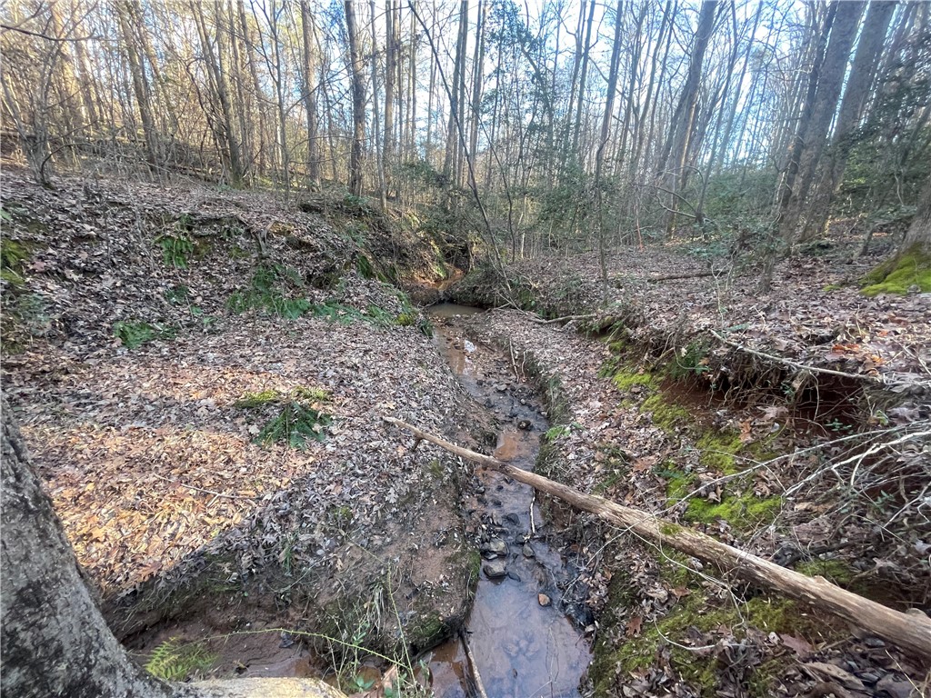 00 Hickory Nut Drive