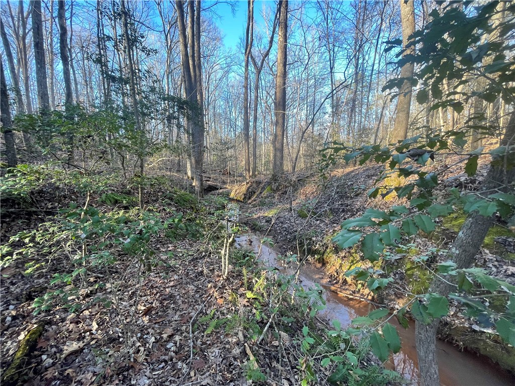 00 Hickory Nut Drive