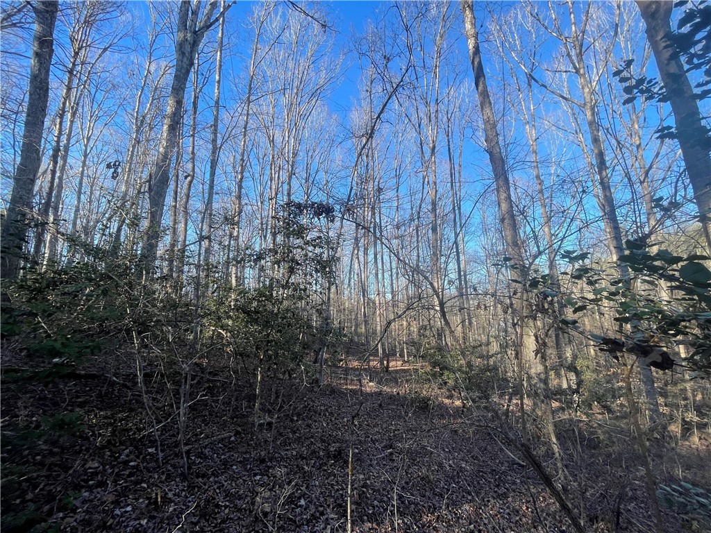 00 Hickory Nut Drive