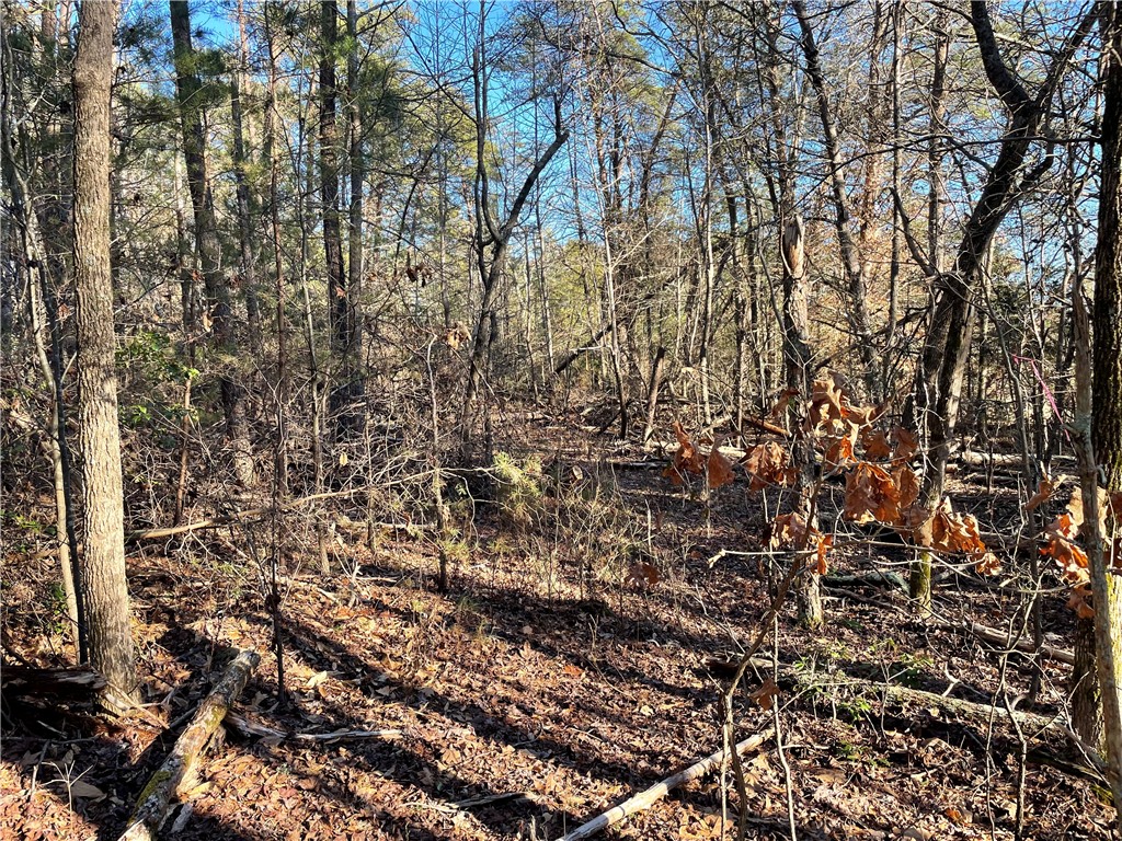 00 Hickory Nut Drive