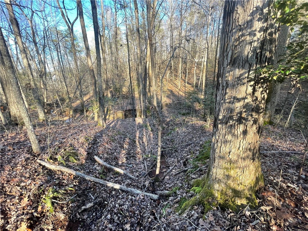 00 Hickory Nut Drive