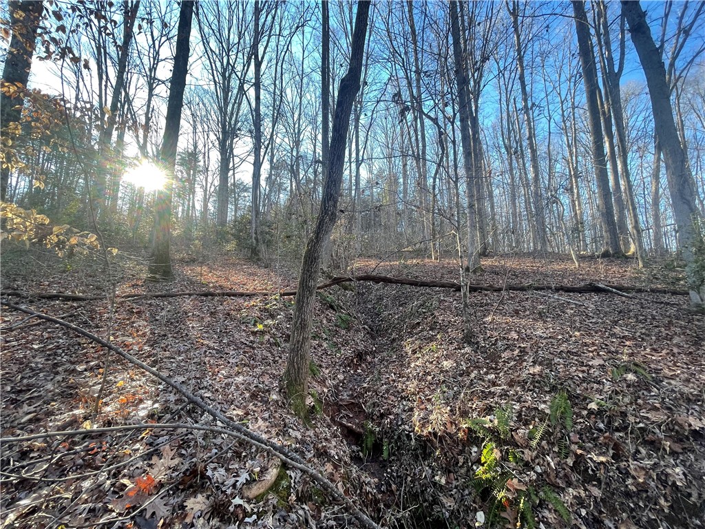 00 Hickory Nut Drive