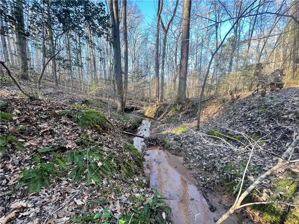 00 Hickory Nut Drive