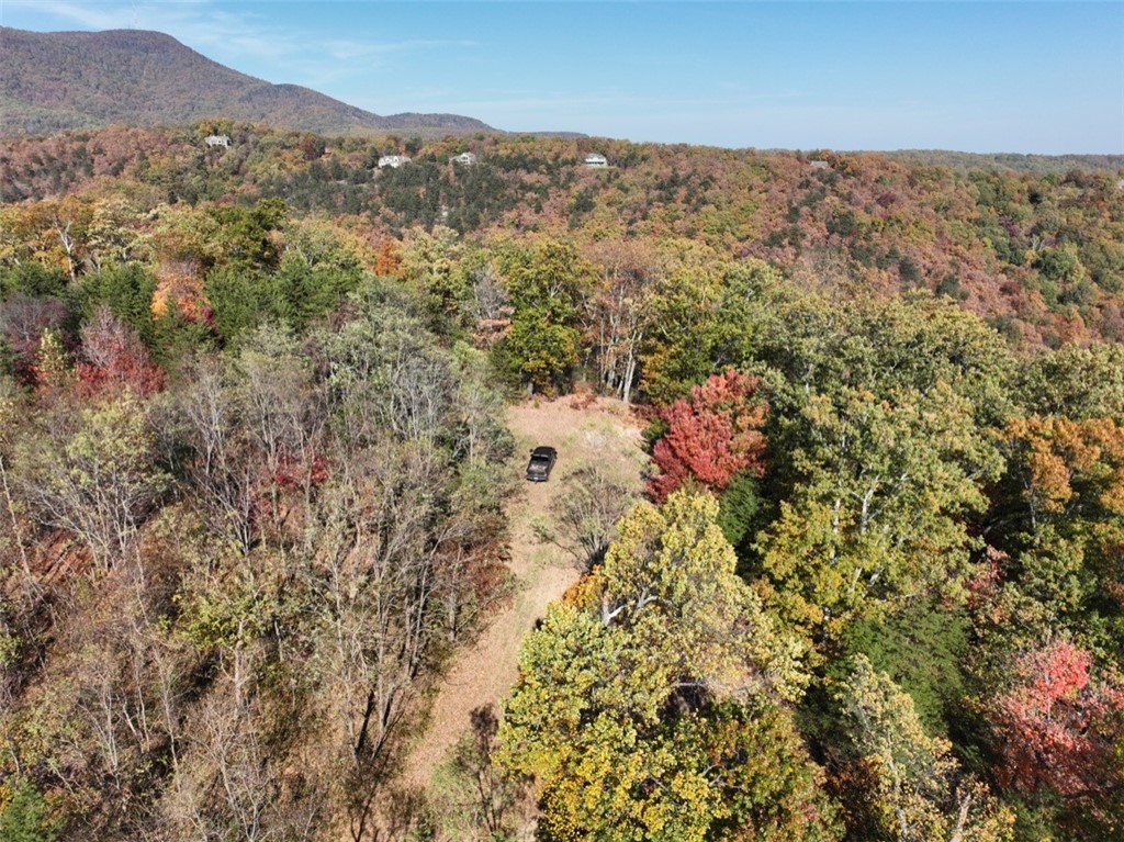 106 Ridge Pass Way
