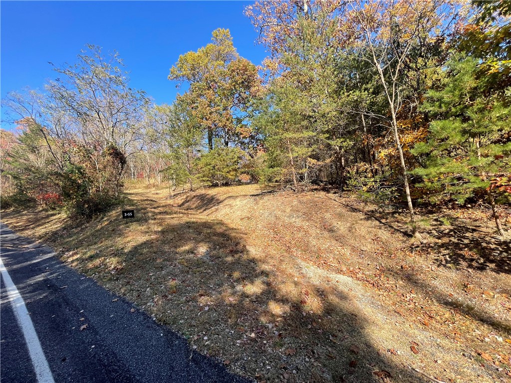 106 Ridge Pass Way