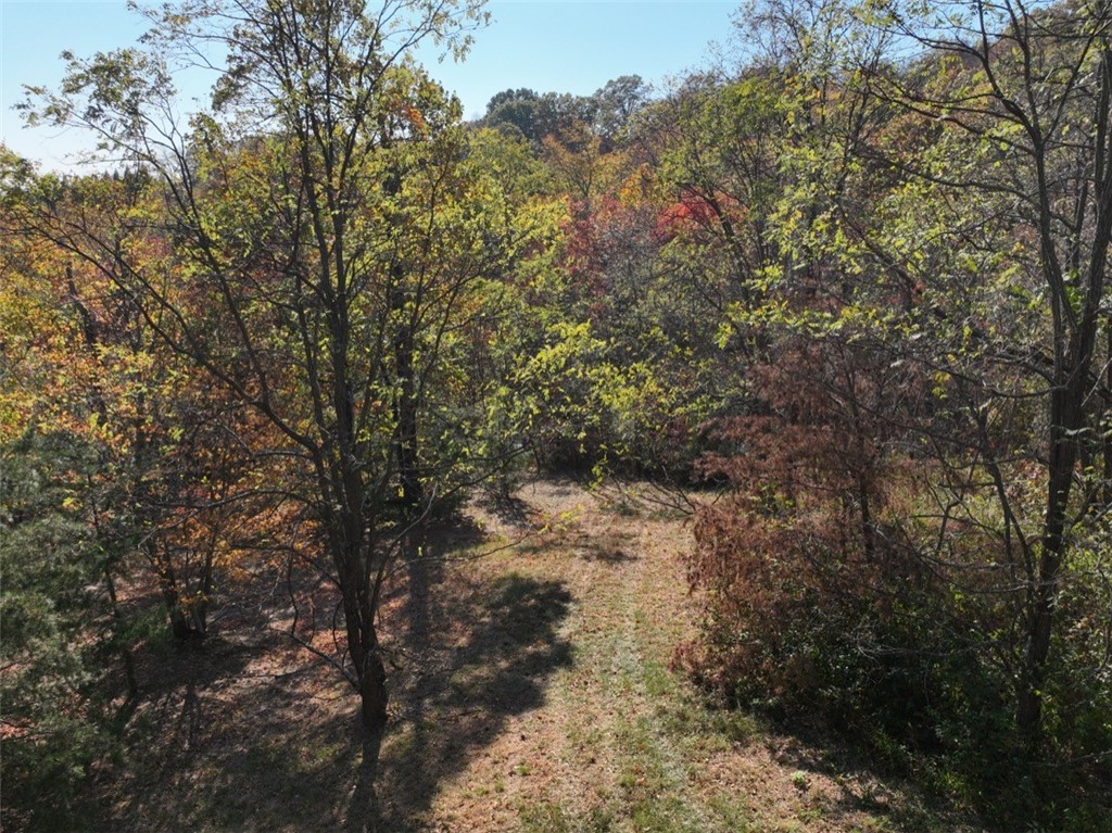 106 Ridge Pass Way