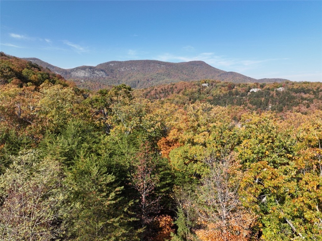 106 Ridge Pass Way