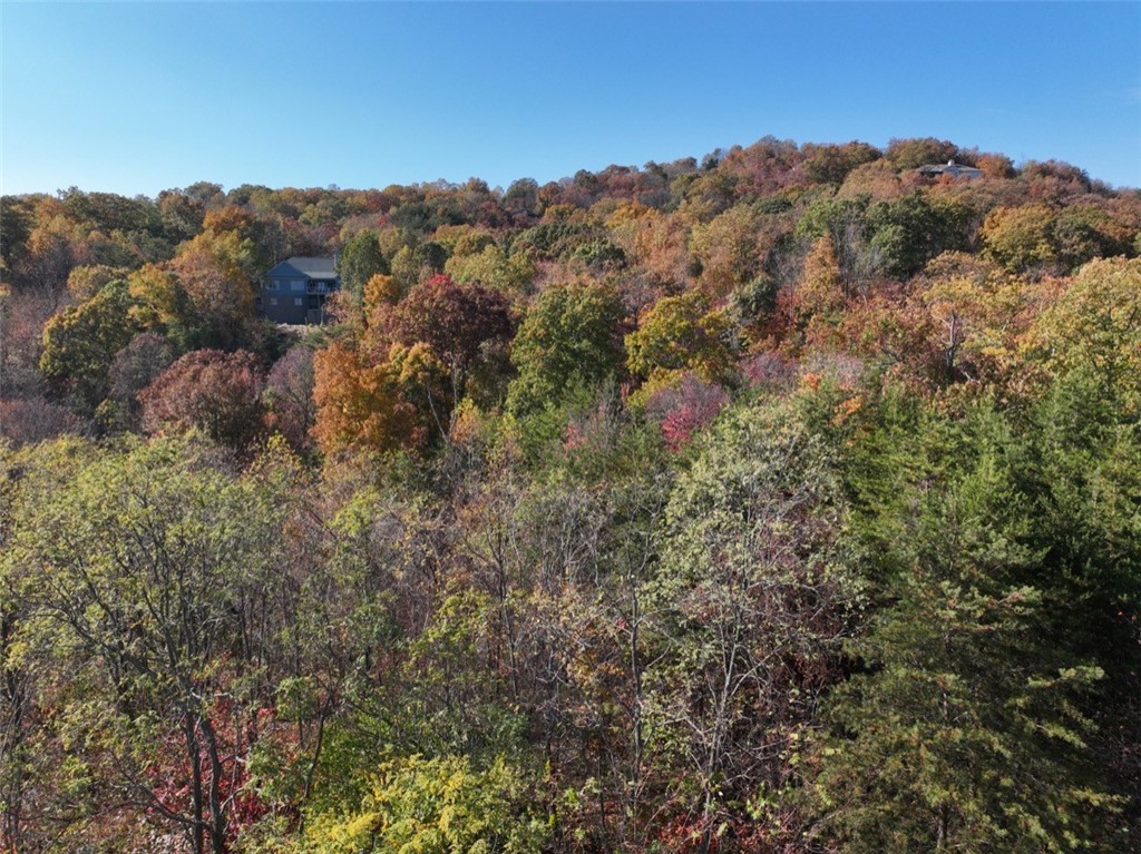 106 Ridge Pass Way