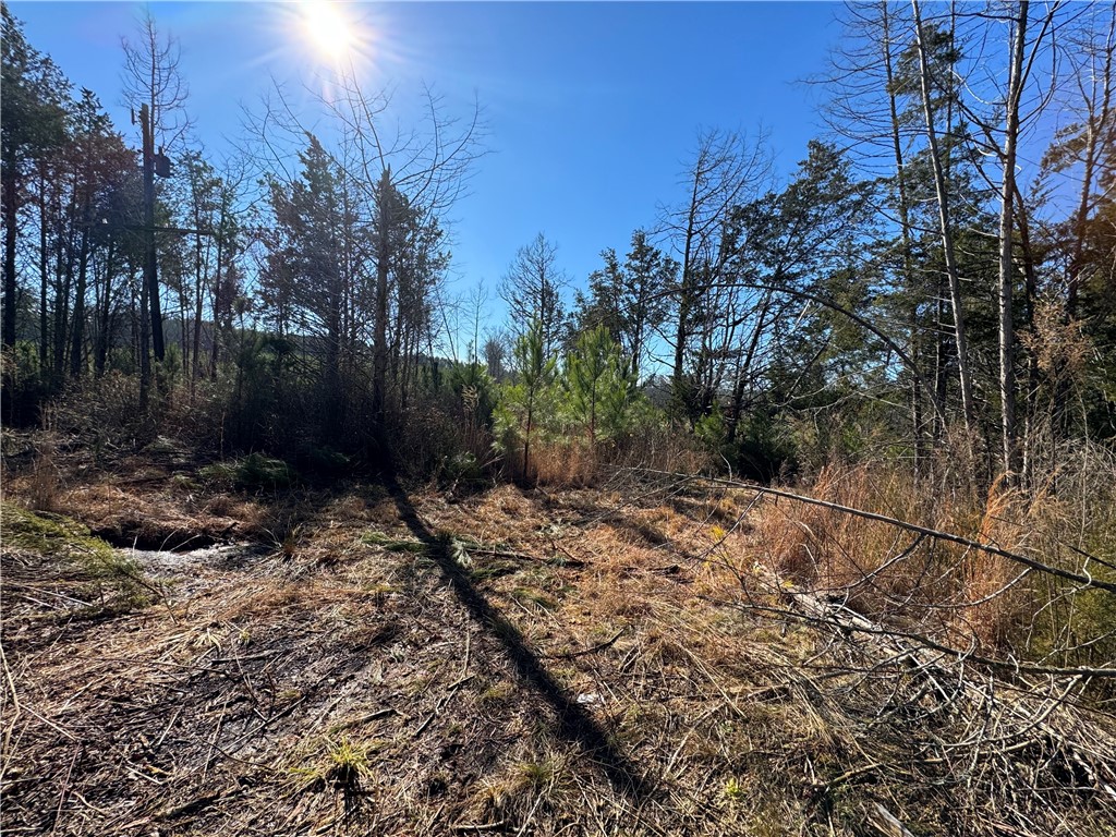 00 Sawney Creek Road