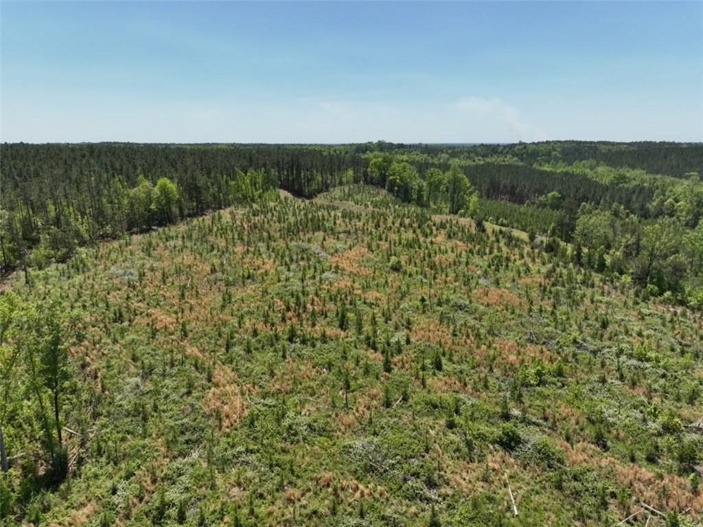 00 Sawney Creek Road