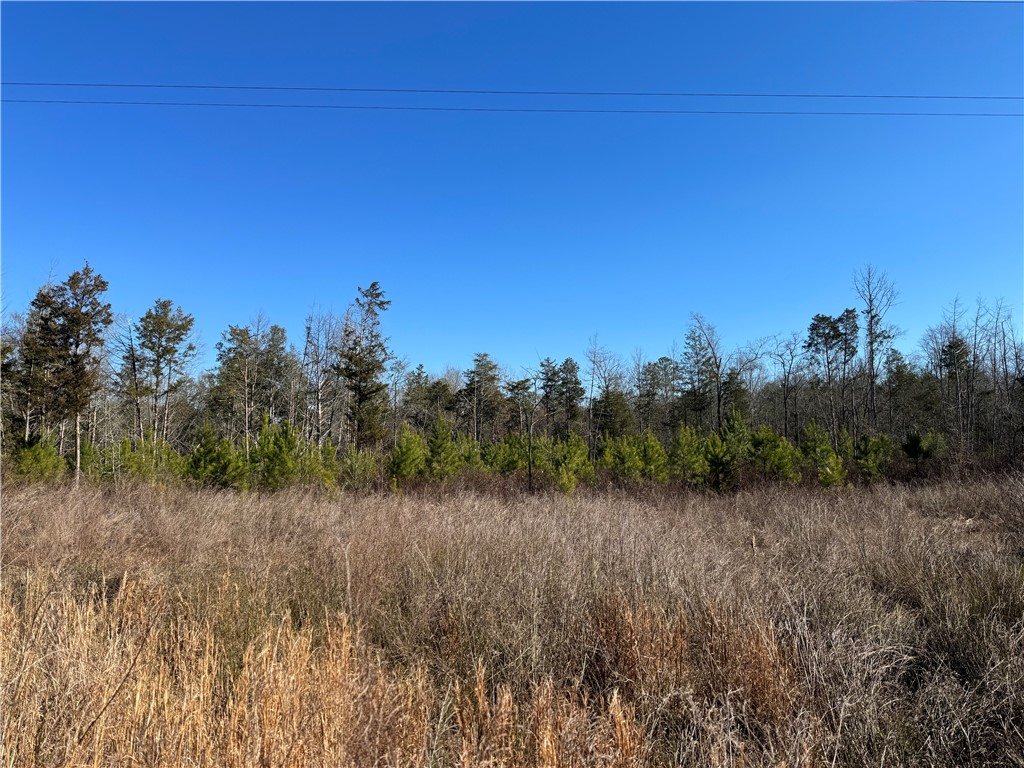 00 Sawney Creek Road