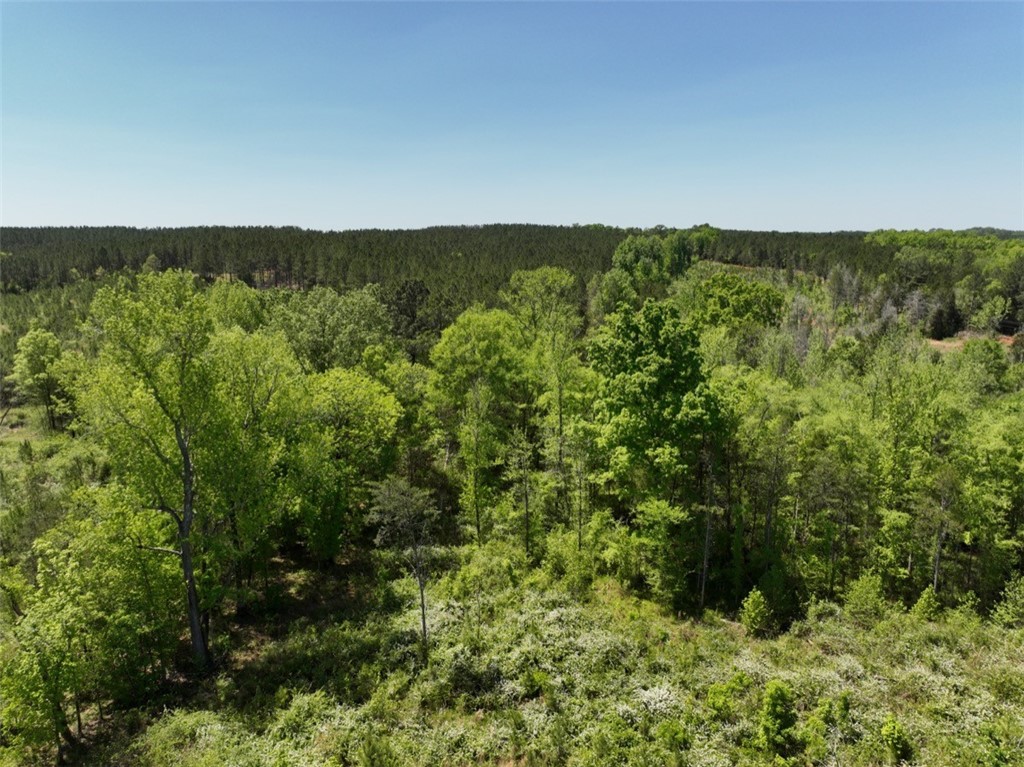 00 Sawney Creek Road