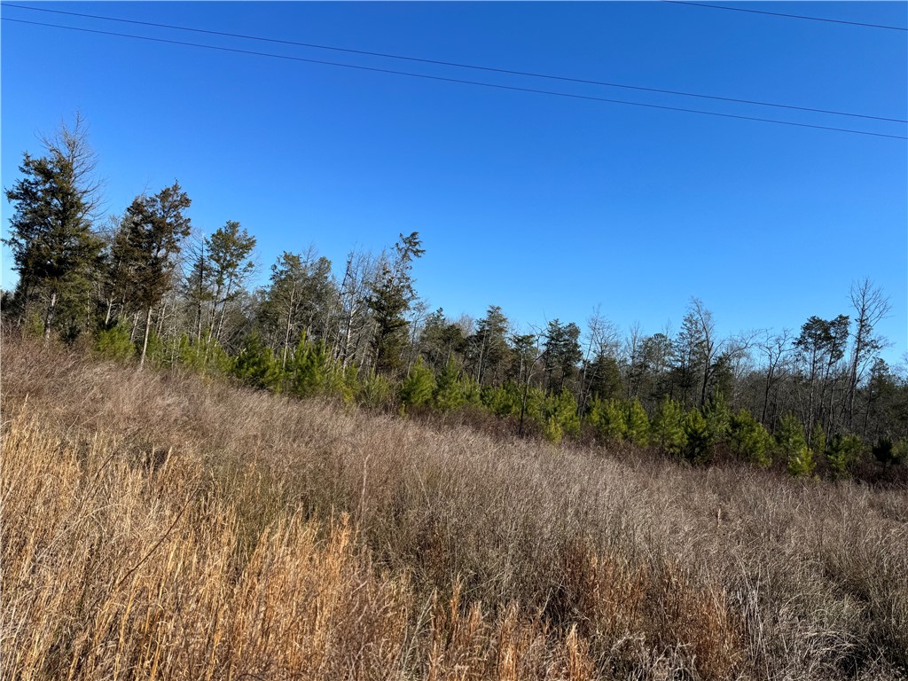 00 Sawney Creek Road