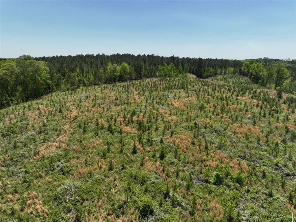 00 Sawney Creek Road