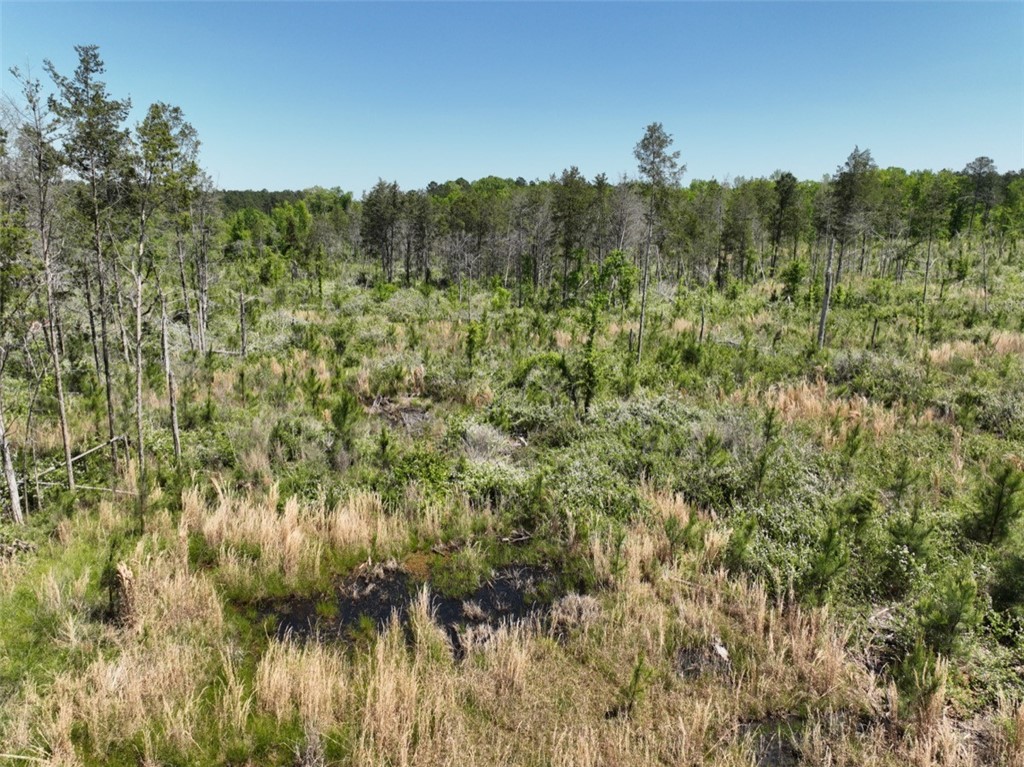 00 Sawney Creek Road