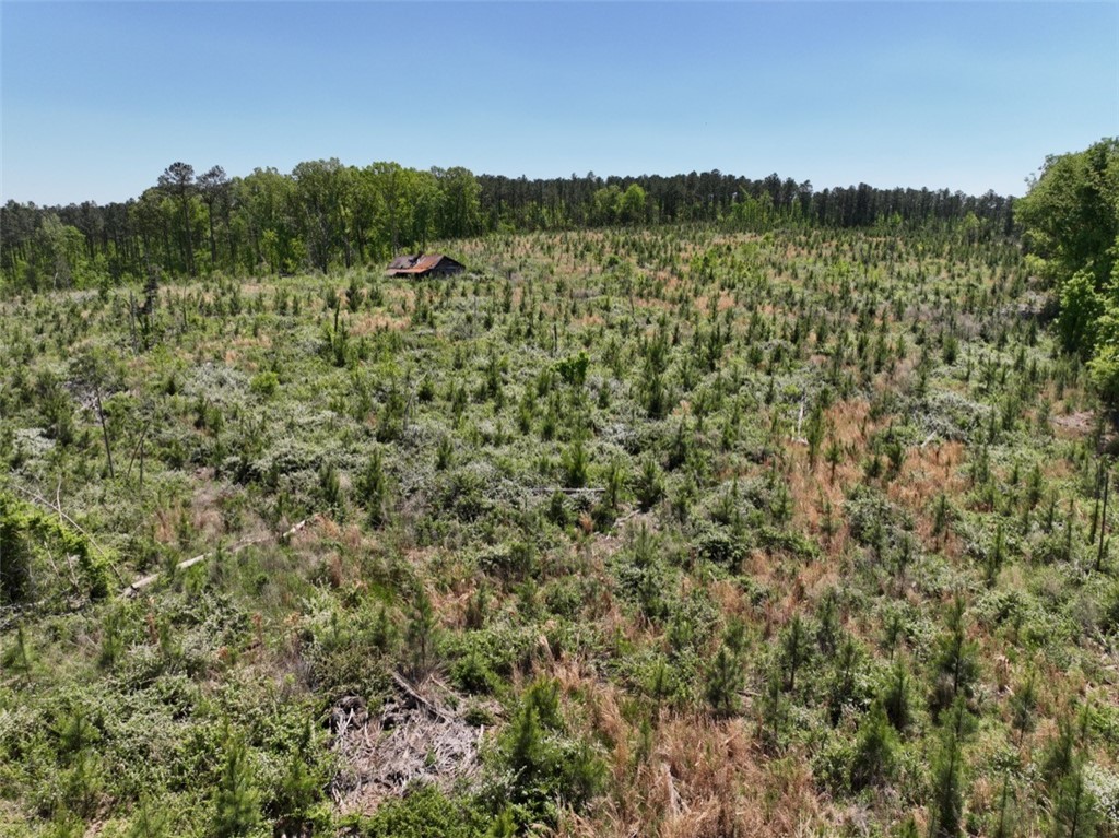 00 Sawney Creek Road