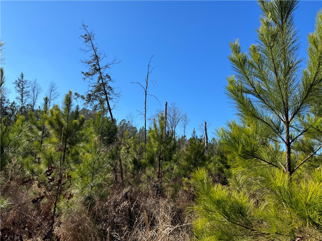 00 Sawney Creek Road