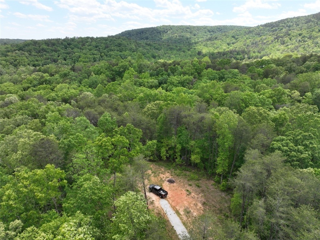 247 Trembly Bald Drive