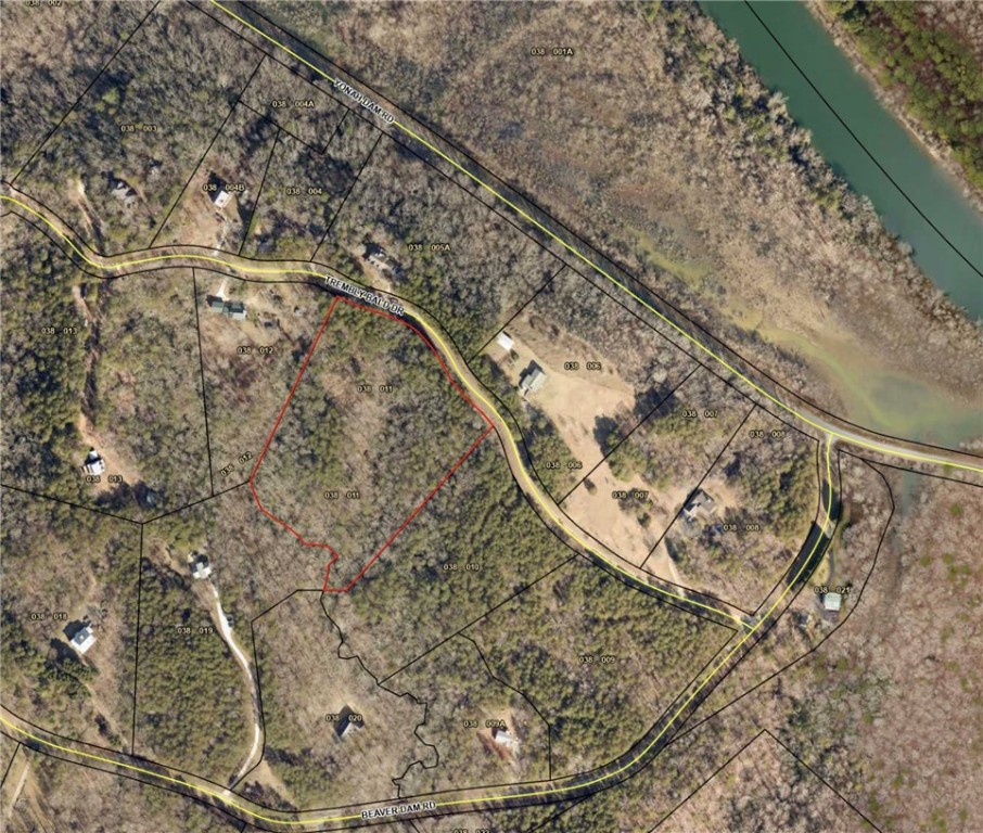 247 Trembly Bald Drive