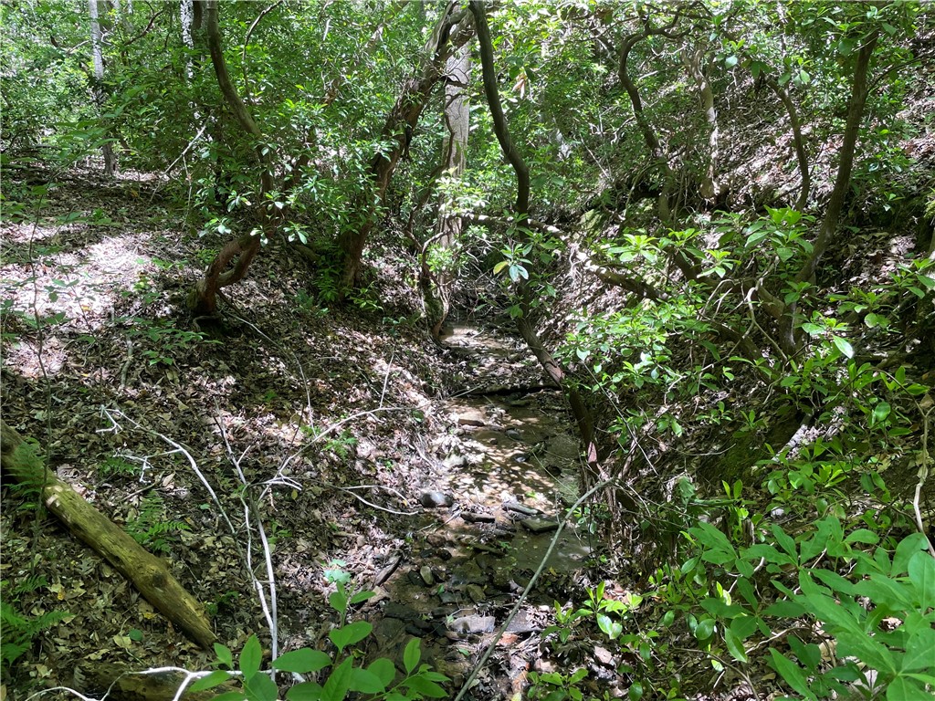 247 Trembly Bald Drive