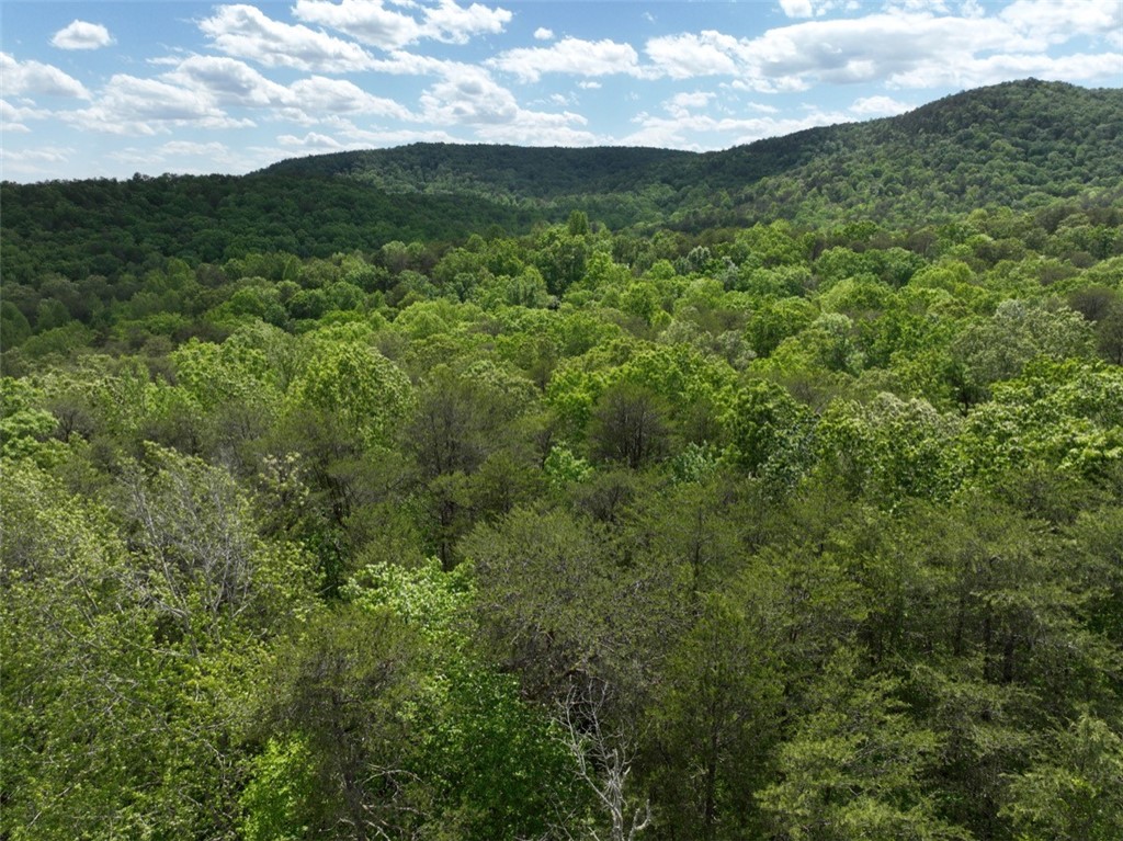 247 Trembly Bald Drive