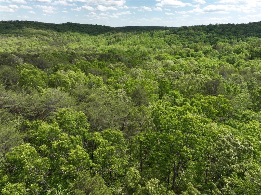 247 Trembly Bald Drive