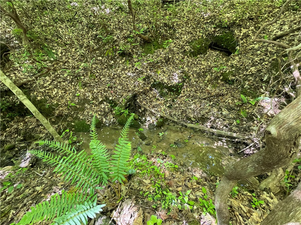 247 Trembly Bald Drive