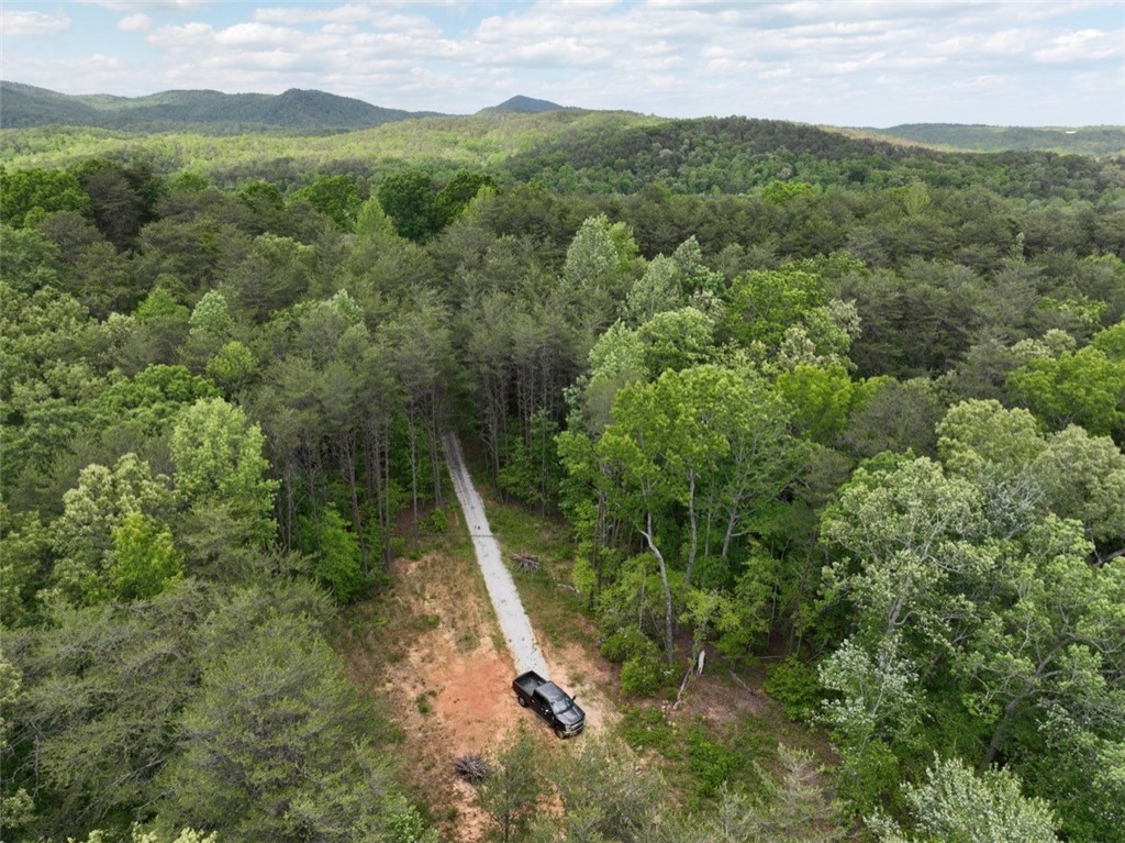 247 Trembly Bald Drive