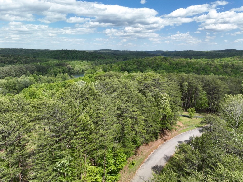 247 Trembly Bald Drive