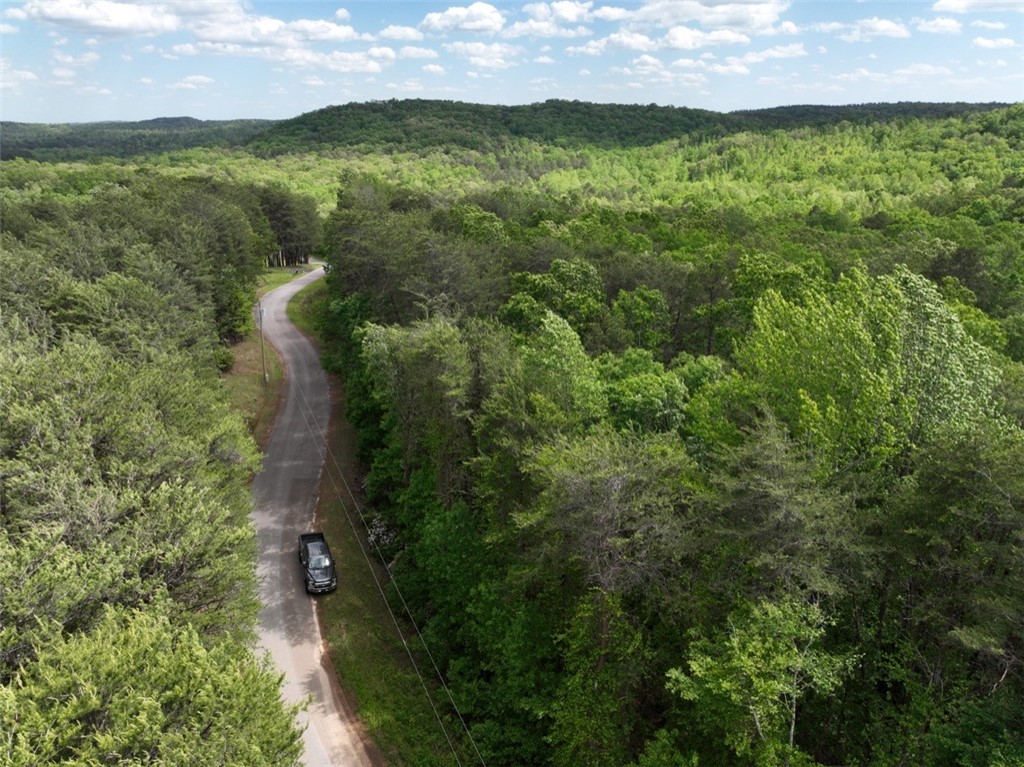 247 Trembly Bald Drive