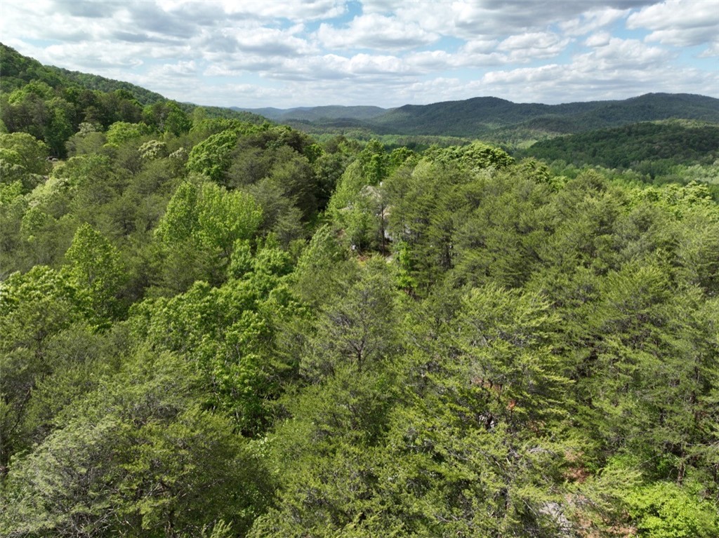 247 Trembly Bald Drive