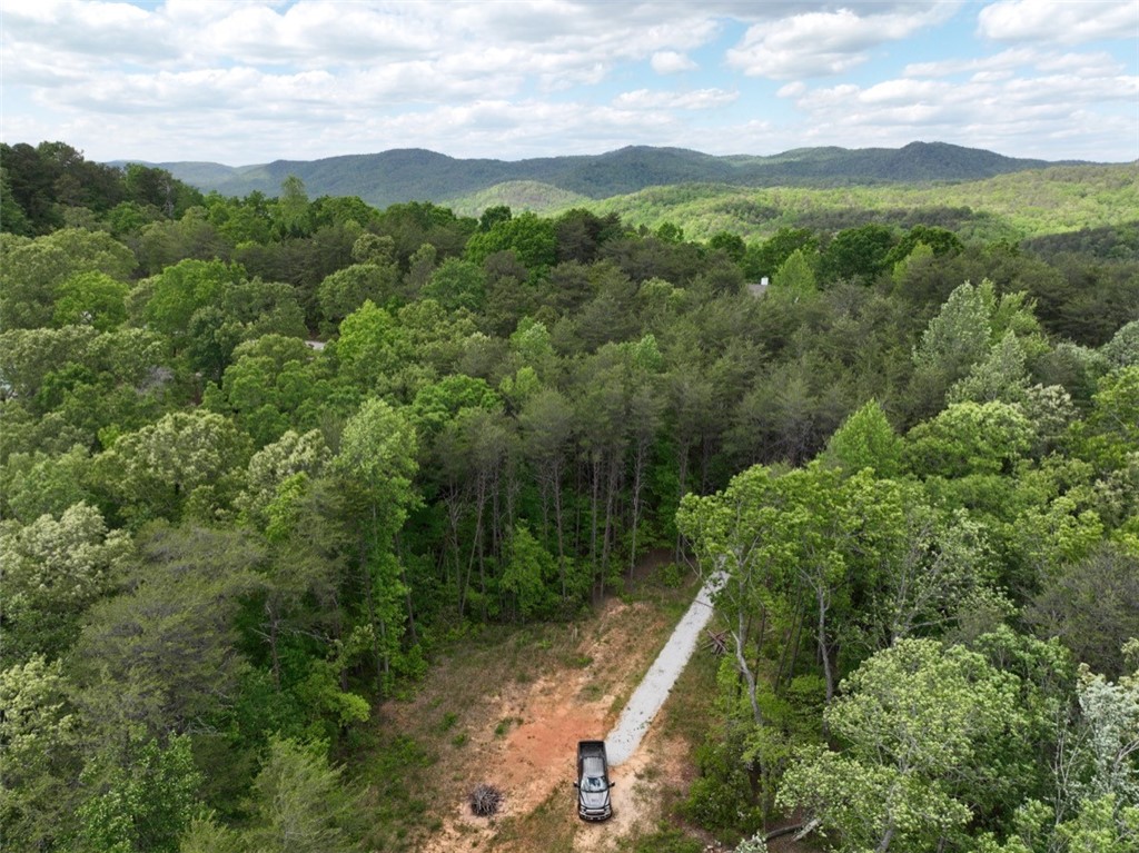 247 Trembly Bald Drive