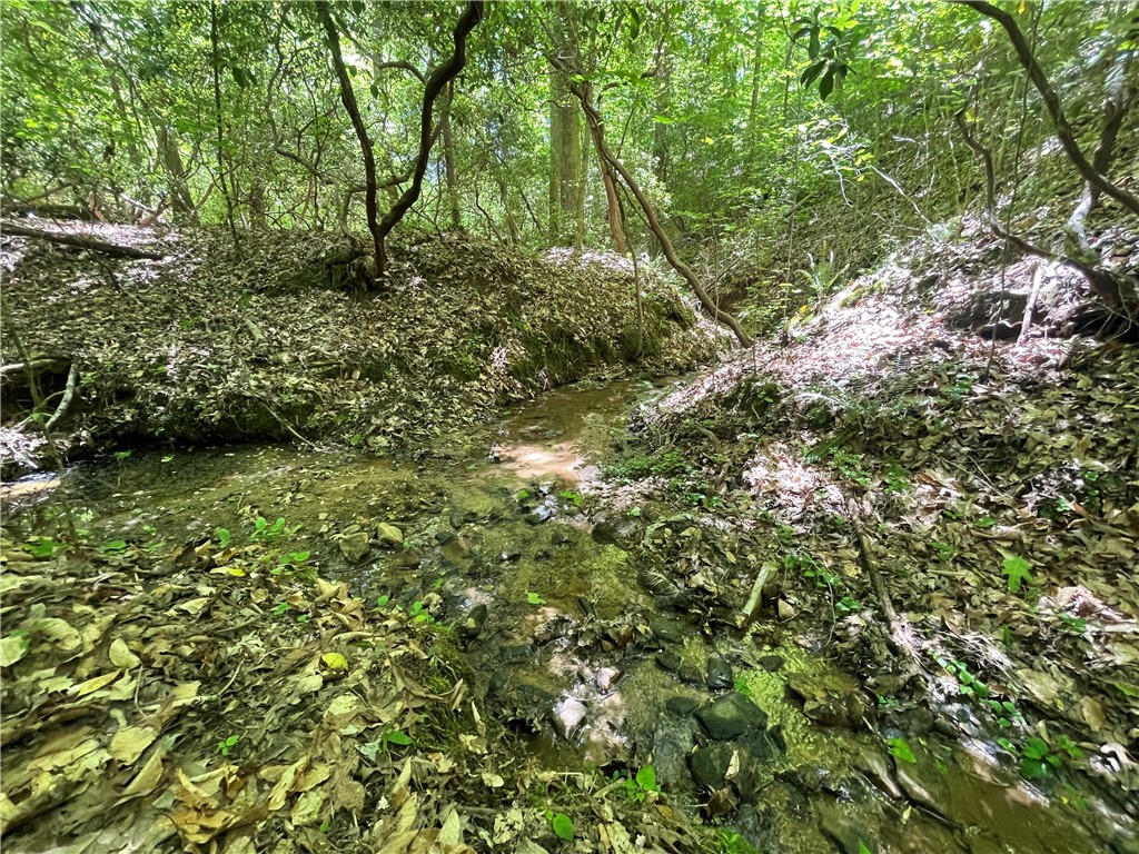 247 Trembly Bald Drive