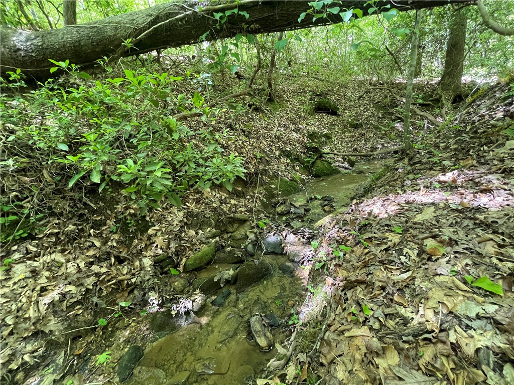 247 Trembly Bald Drive