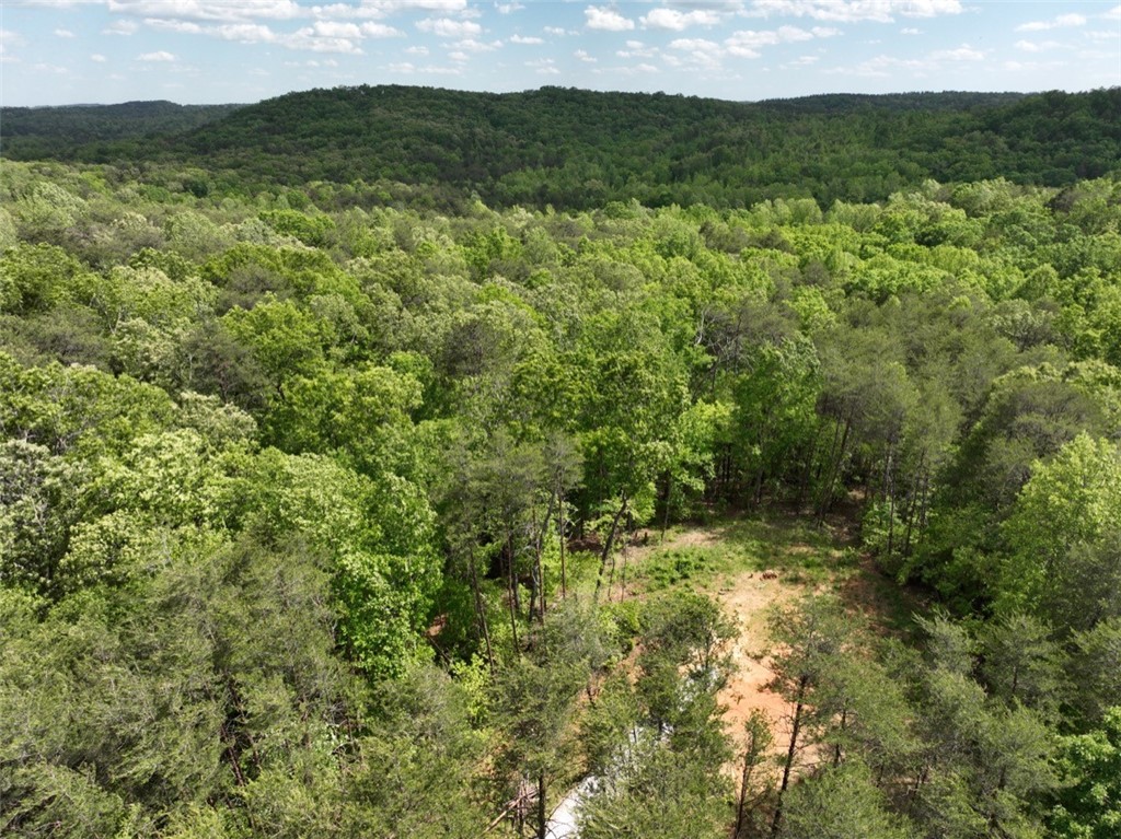 247 Trembly Bald Drive